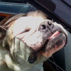 Meet your Posher, Andres